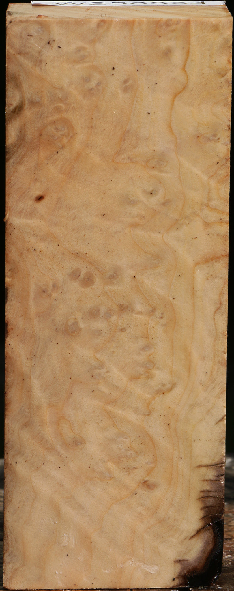 Madrone Burl Turning Square