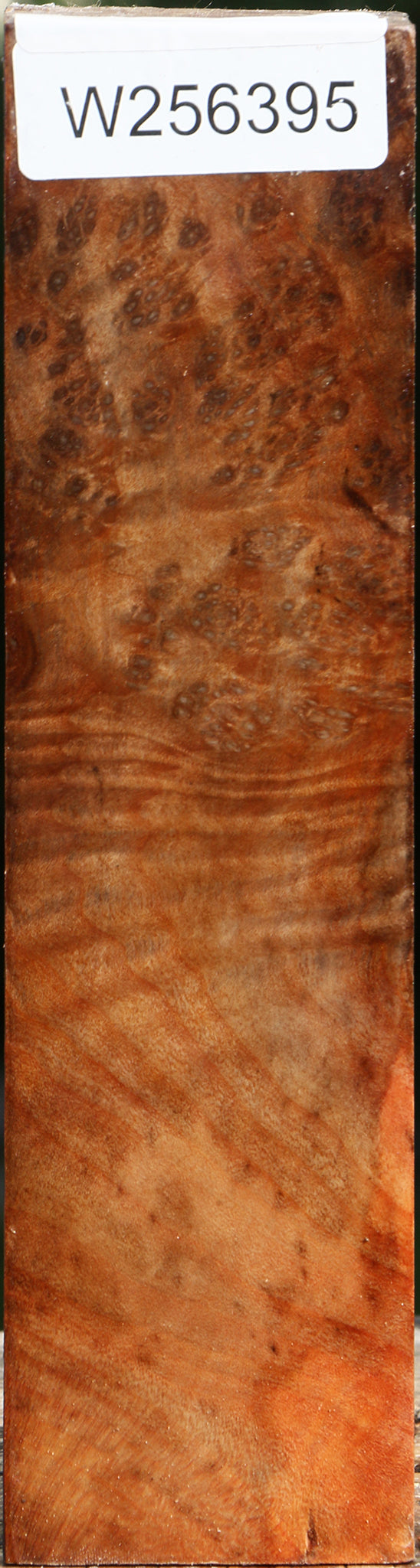 Madrone Burl Peppermill
