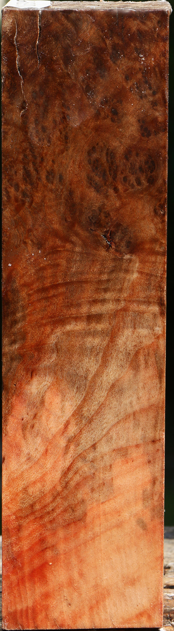 Madrone Burl Peppermill