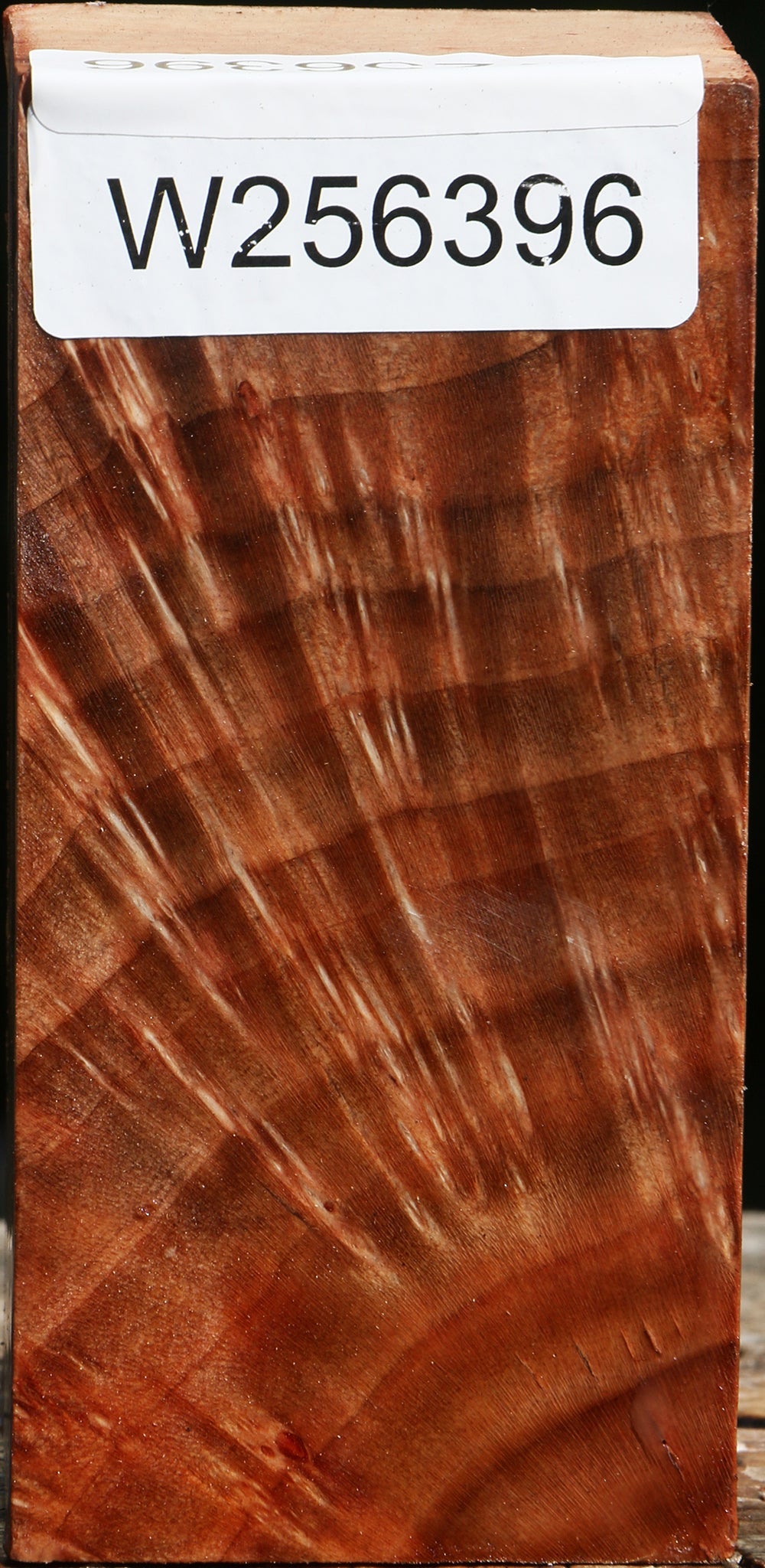 Extra Fancy Madrone Turning Square