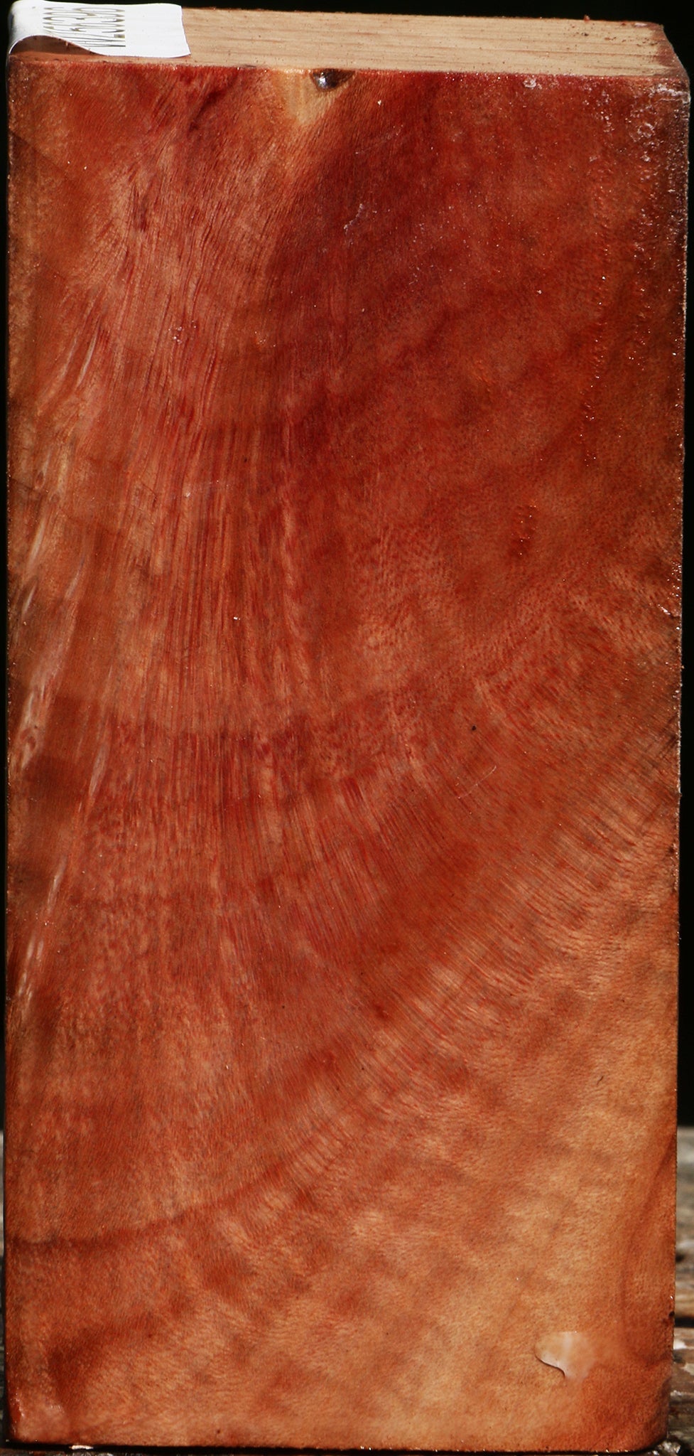 Extra Fancy Madrone Turning Square