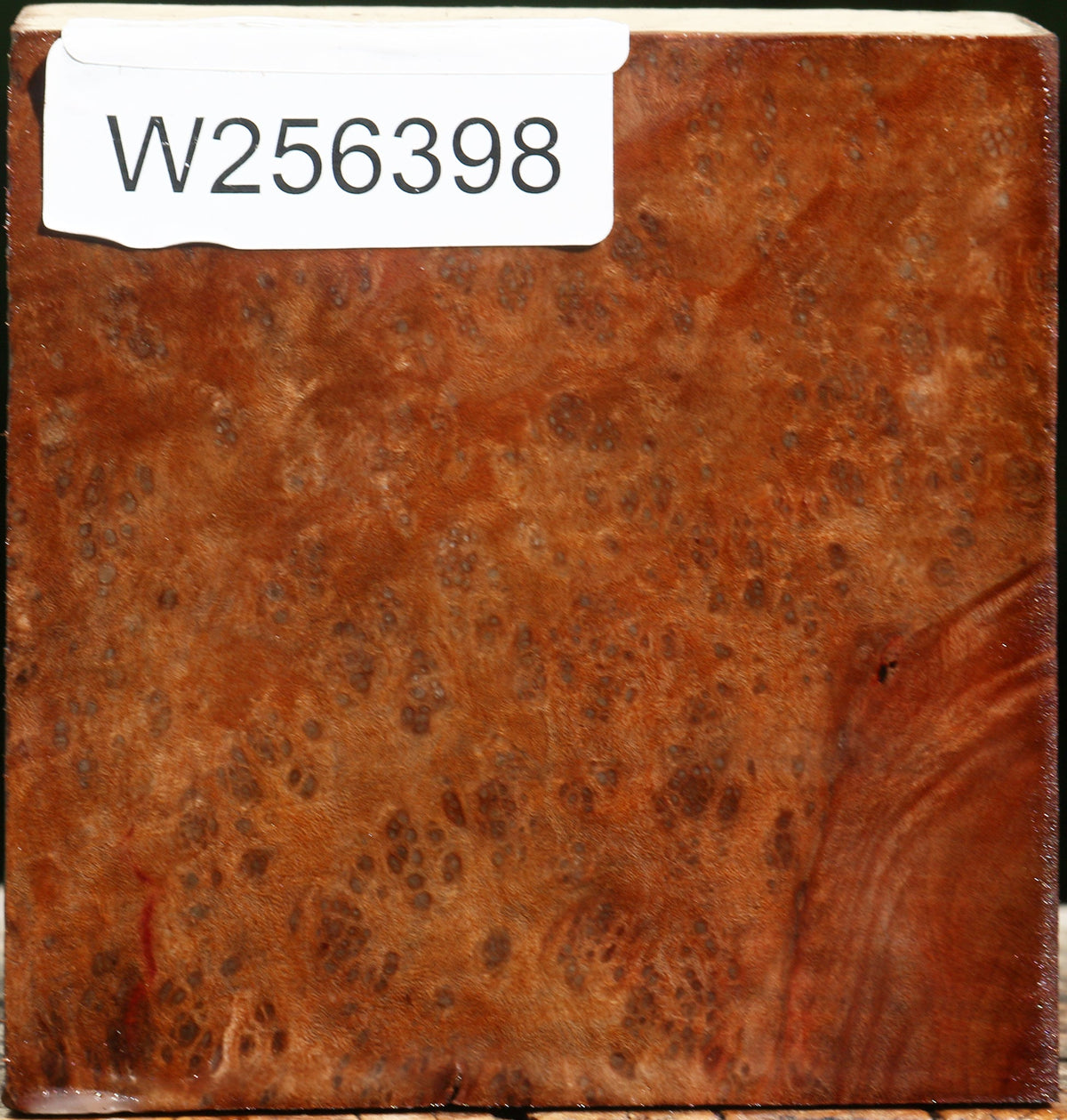 Madrone Burl Bowl Blank