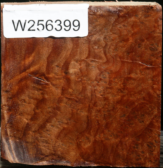 Madrone Burl Bowl Blank