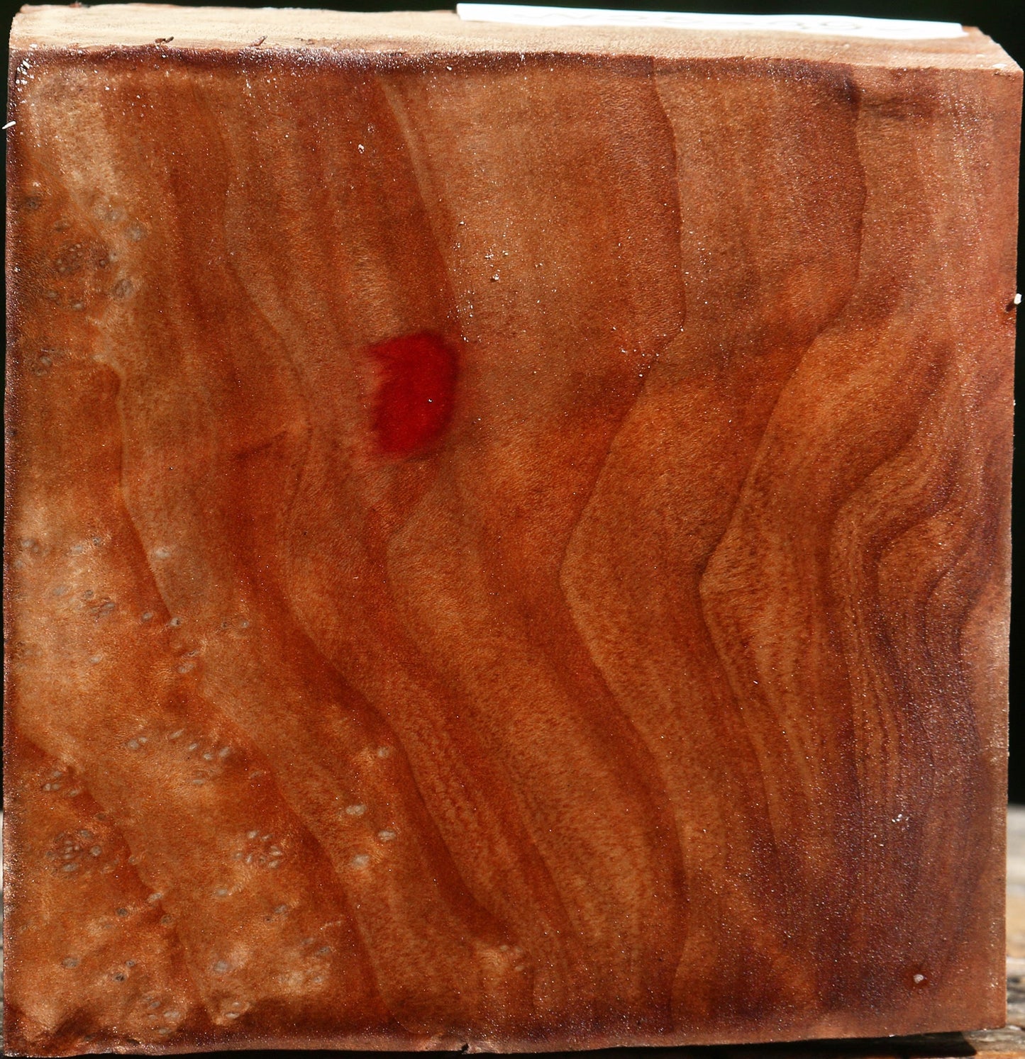 Madrone Burl Bowl Blank