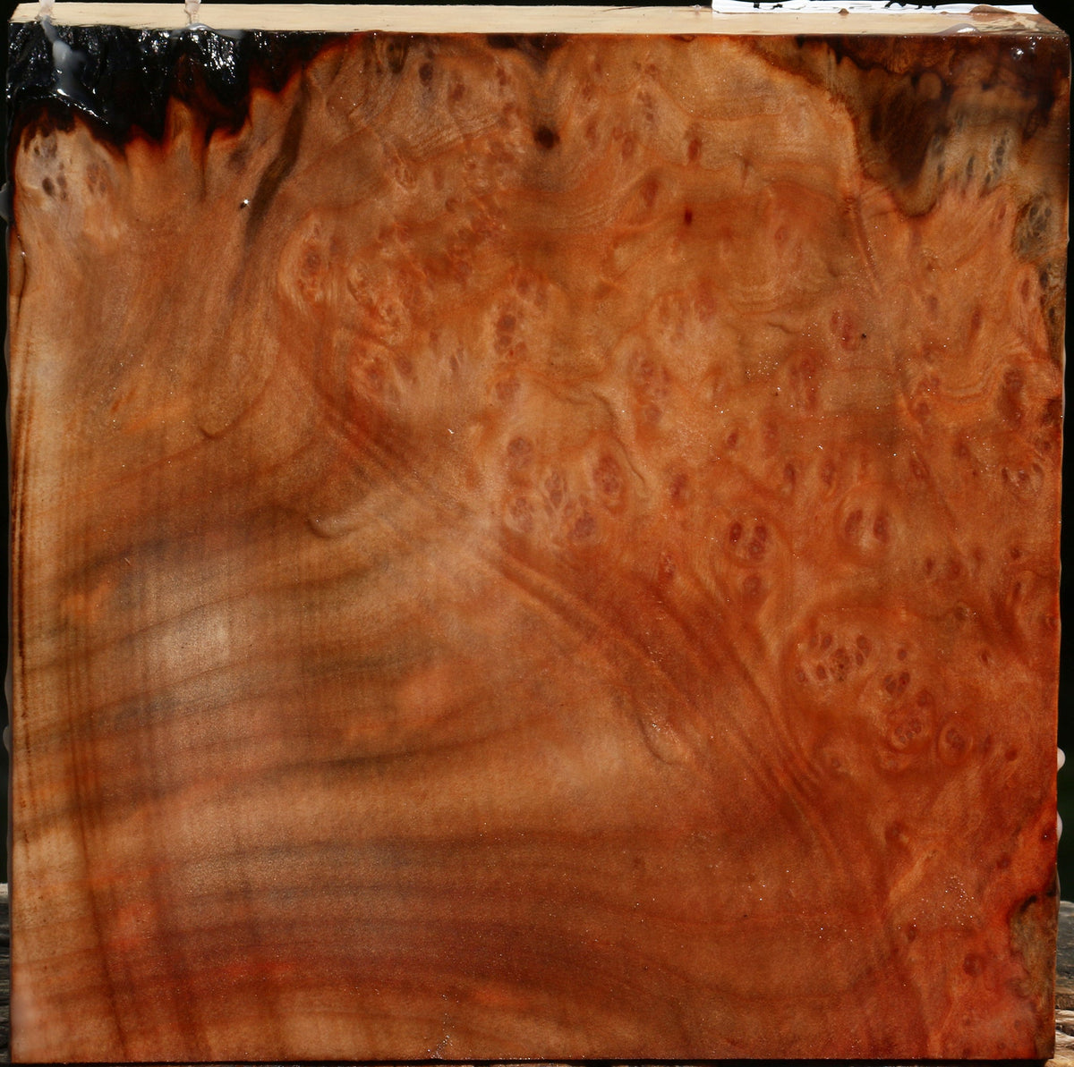 Madrone Burl Bowl Blank
