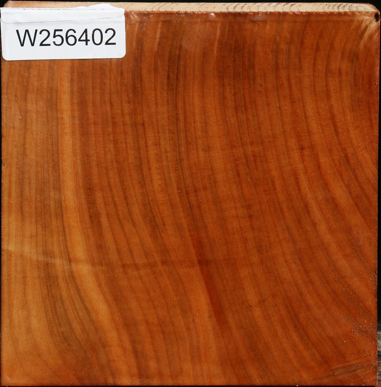 Madrone Bowl Blank