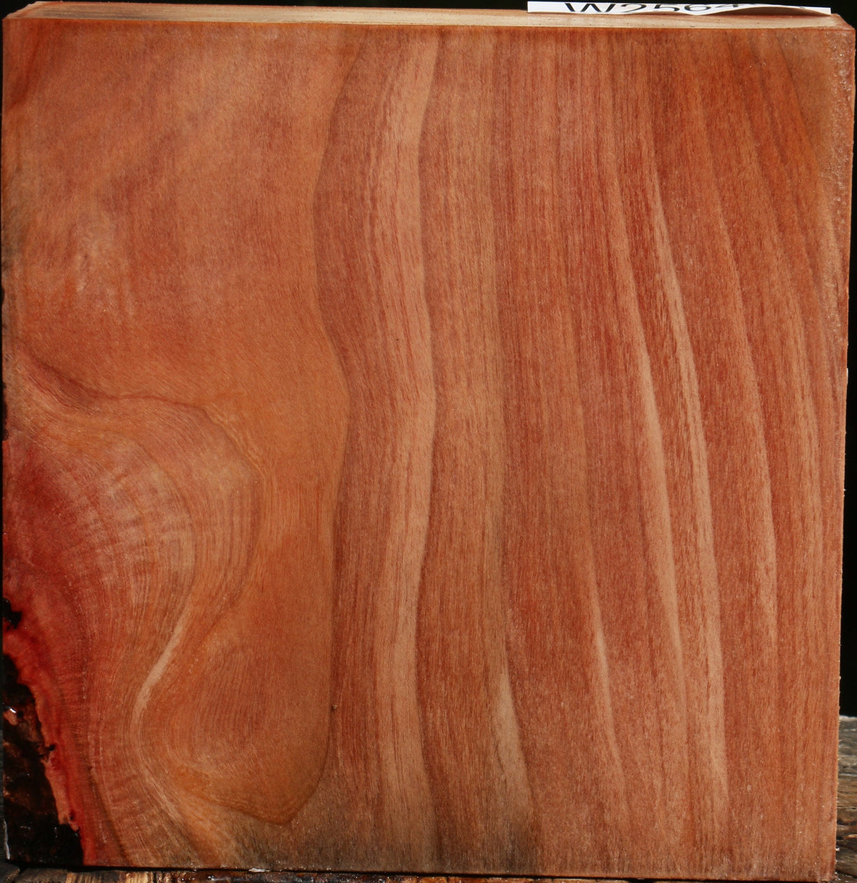 Madrone Bowl Blank