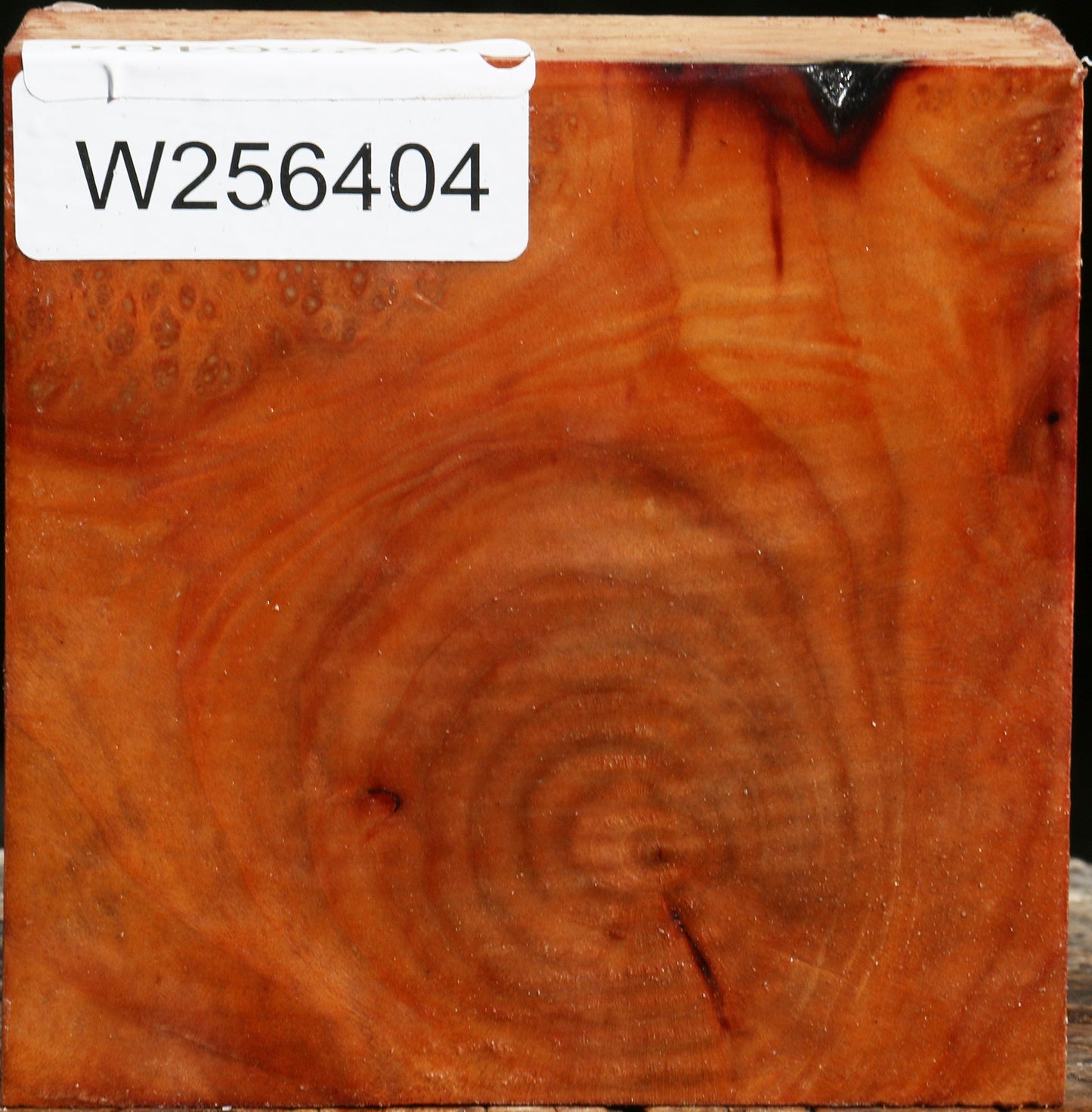 Figured Madrone Bowl Blank