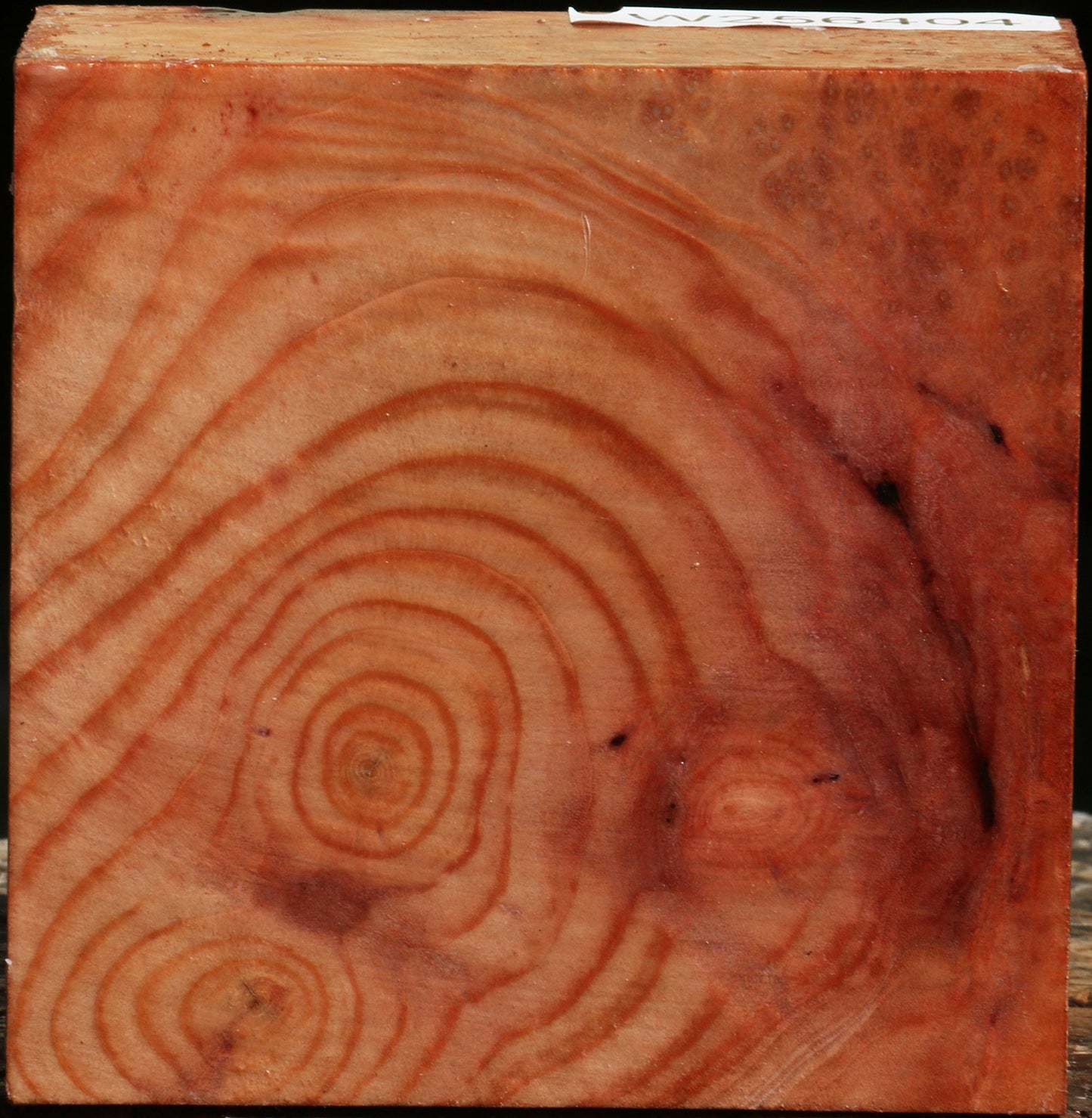 Figured Madrone Bowl Blank