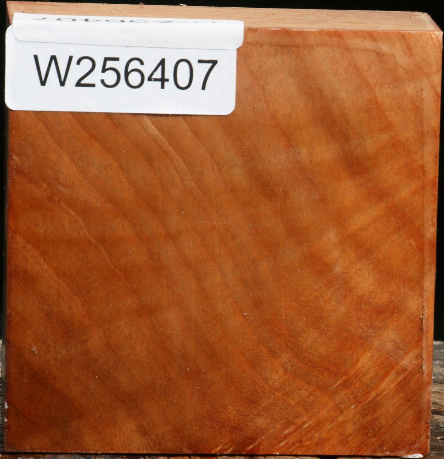 Figured Madrone Bowl Blank