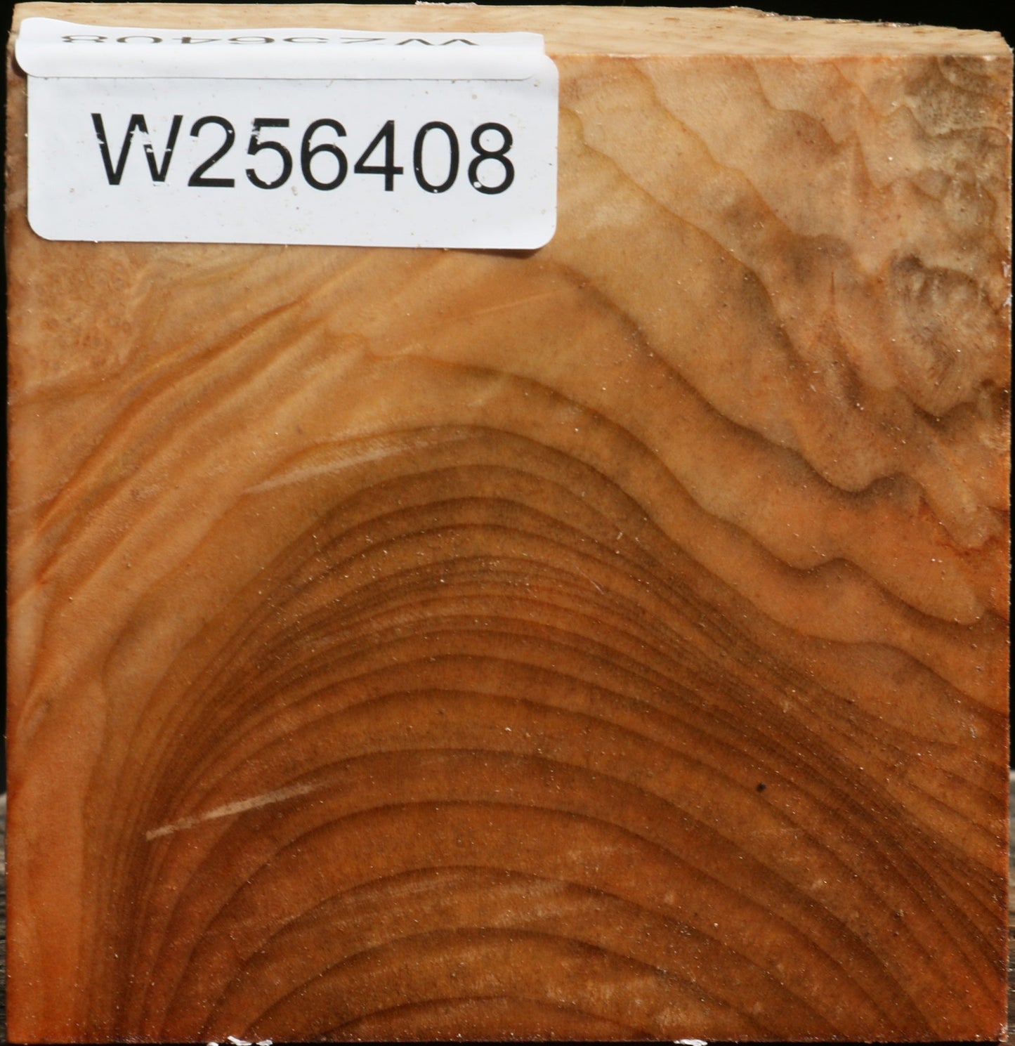 Figured Madrone Bowl Blank