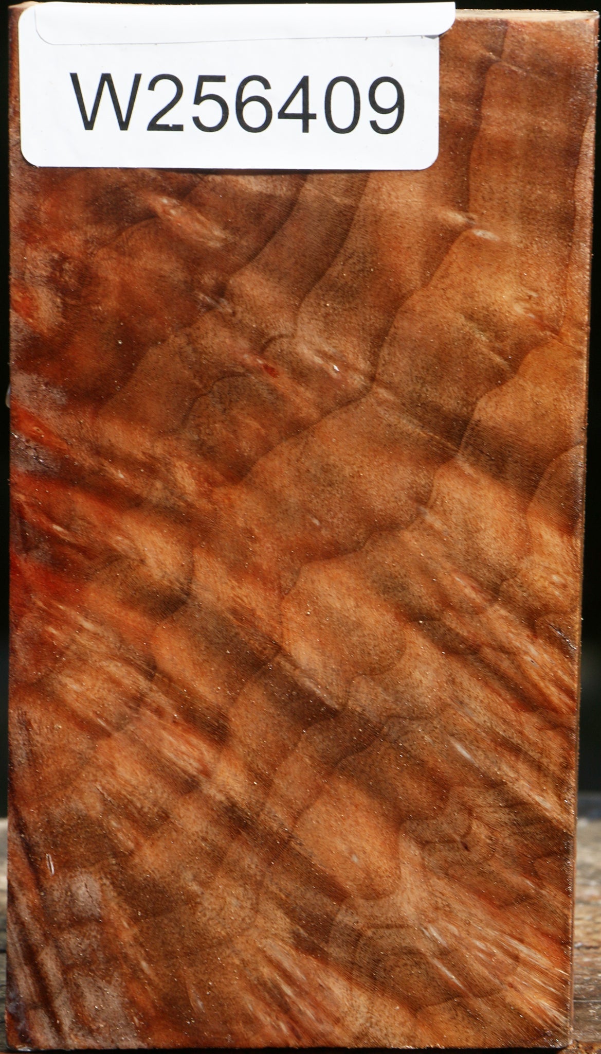 Madrone Burl Turning Blank