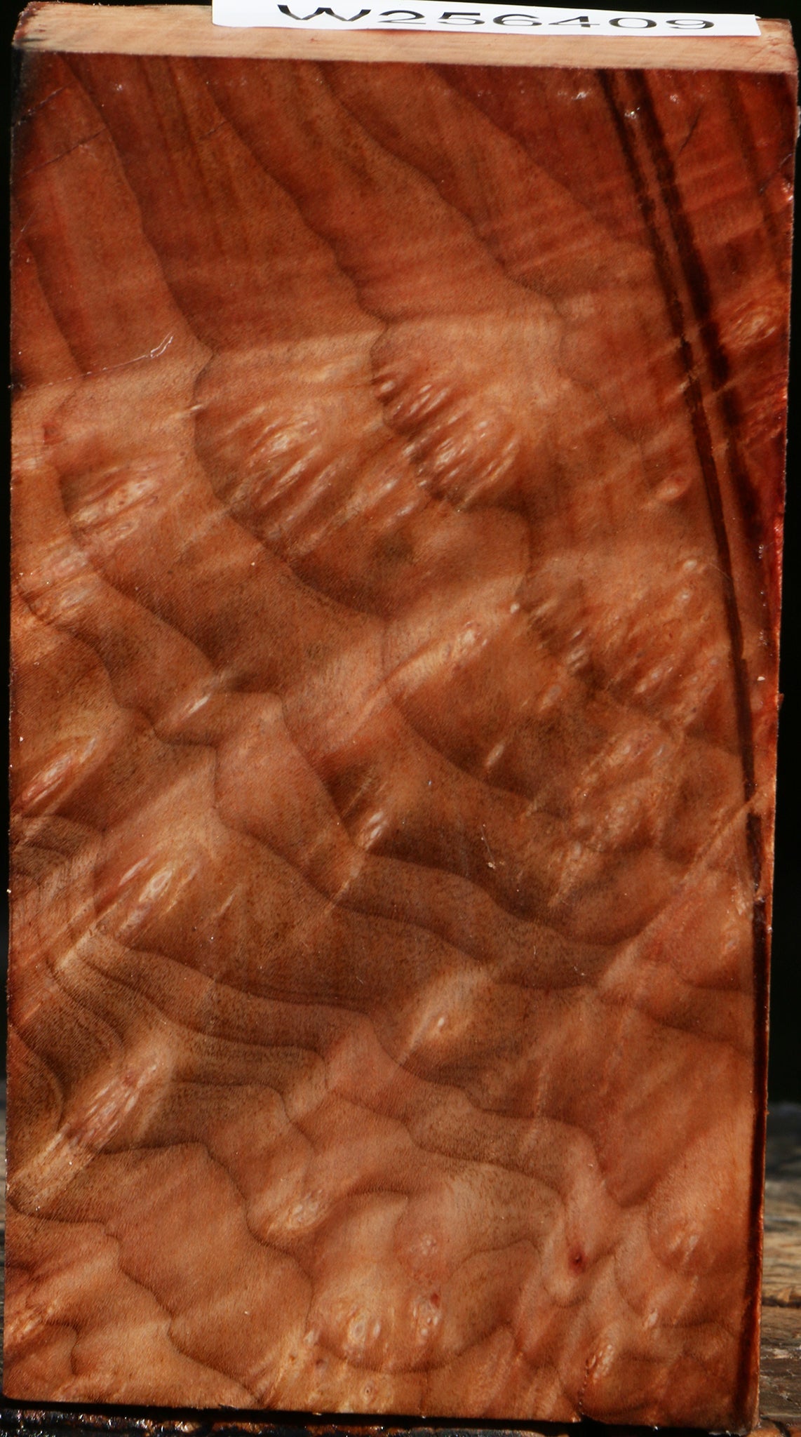 Madrone Burl Turning Blank