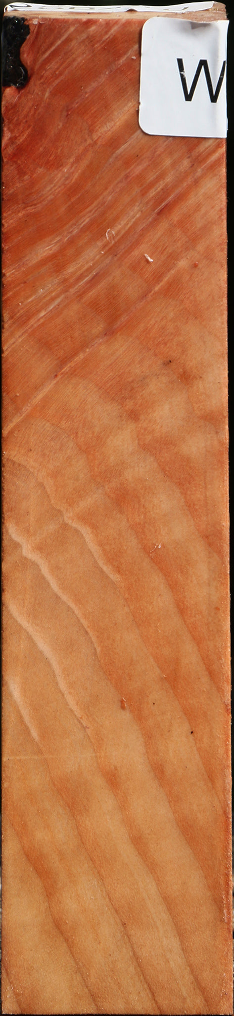 Madrone Turning Square