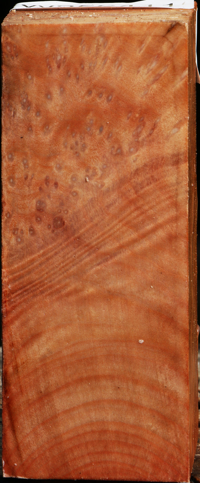 Madrone Burl Turning Square