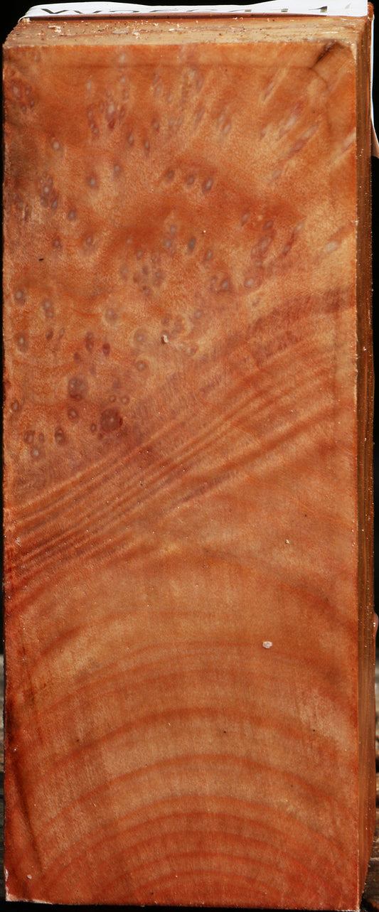 Madrone Burl Turning Square