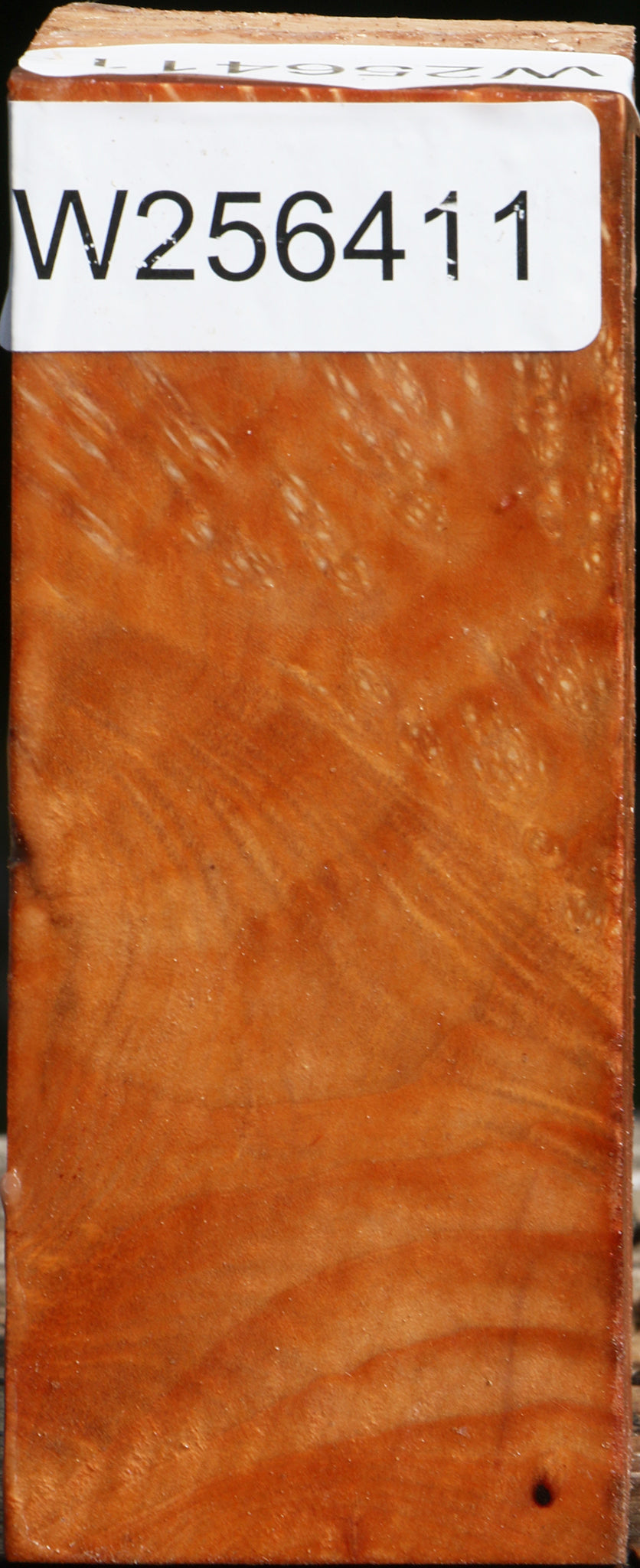 Madrone Burl Turning Square