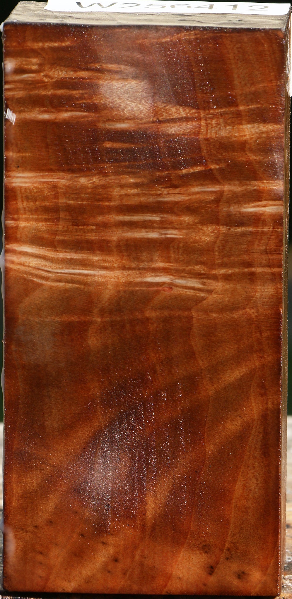 Figured Madrone Turning Blank