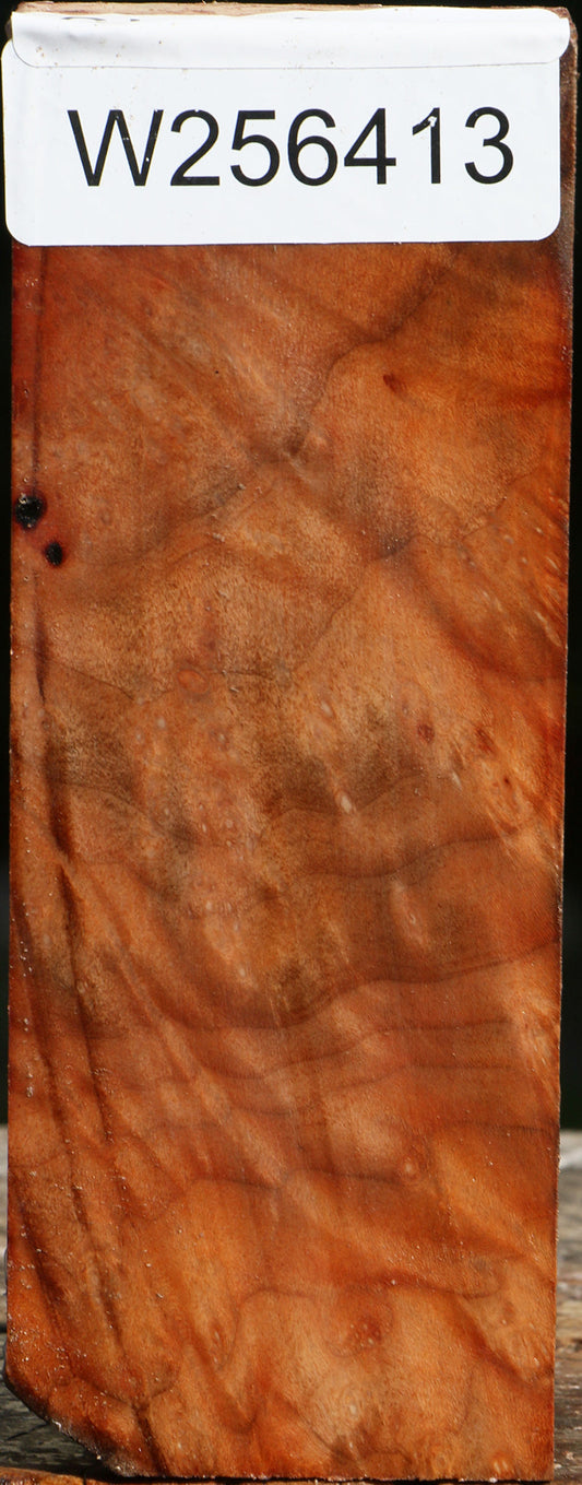 Madrone Burl Turning Blank