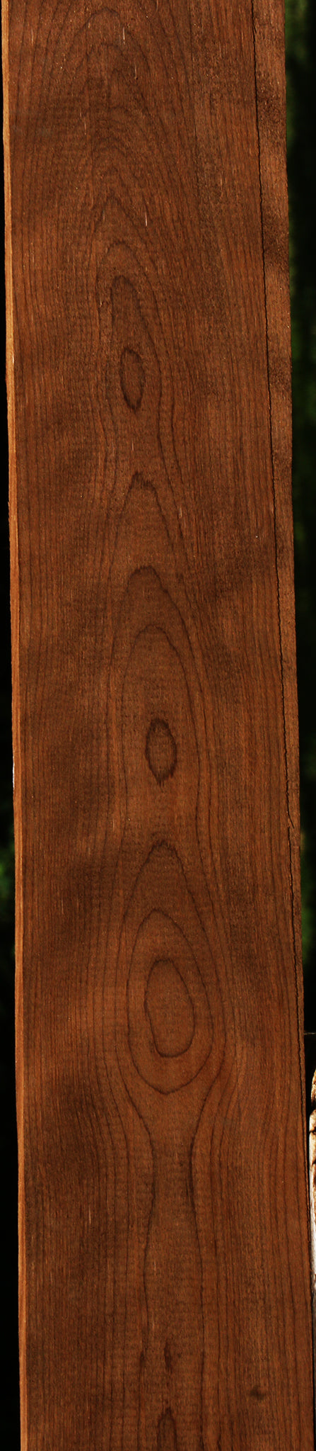 Figured Caramelized Birch Lumber