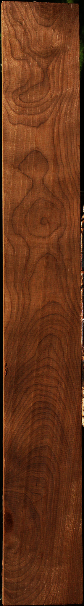 Figured Caramelized Birch Lumber