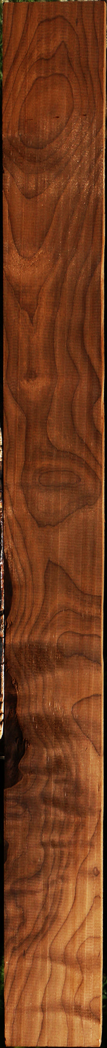 Figured Caramelized Birch Lumber