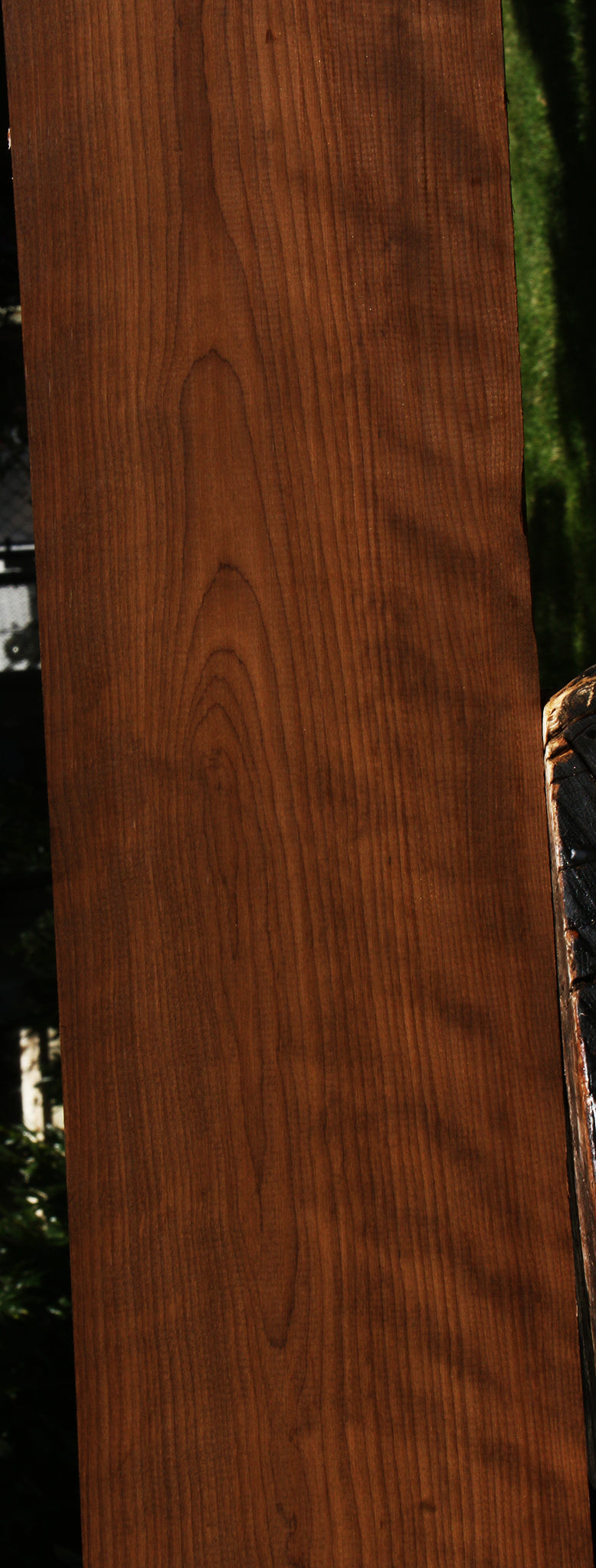 Figured Caramelized Birch Lumber