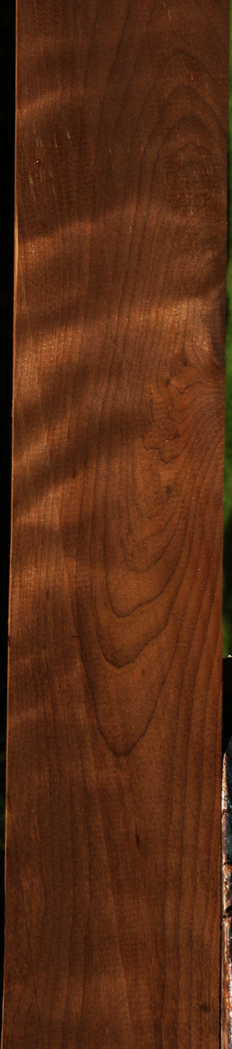 Figured Caramelized Birch Micro Lumber
