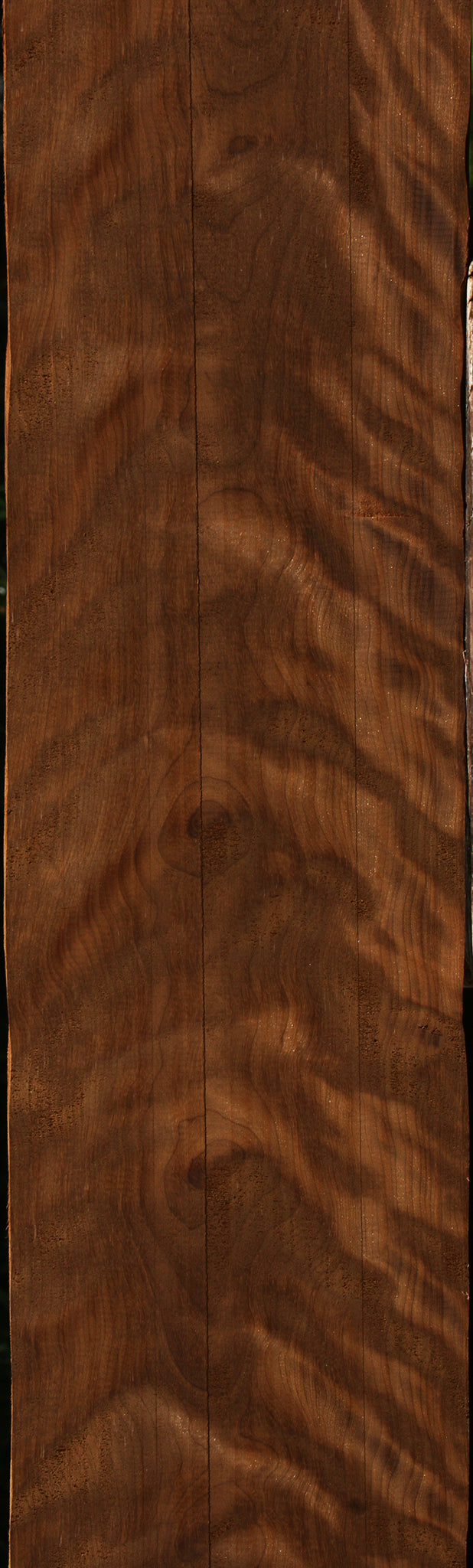 Exhibition Caramelized Birch Lumber