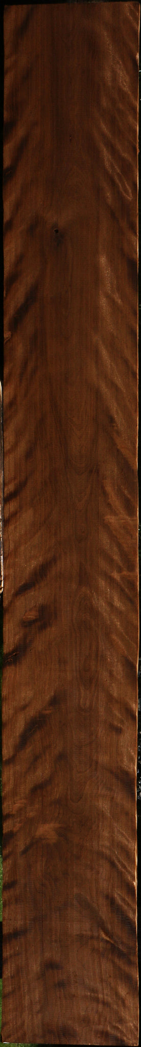 Exhibition Caramelized Birch Lumber
