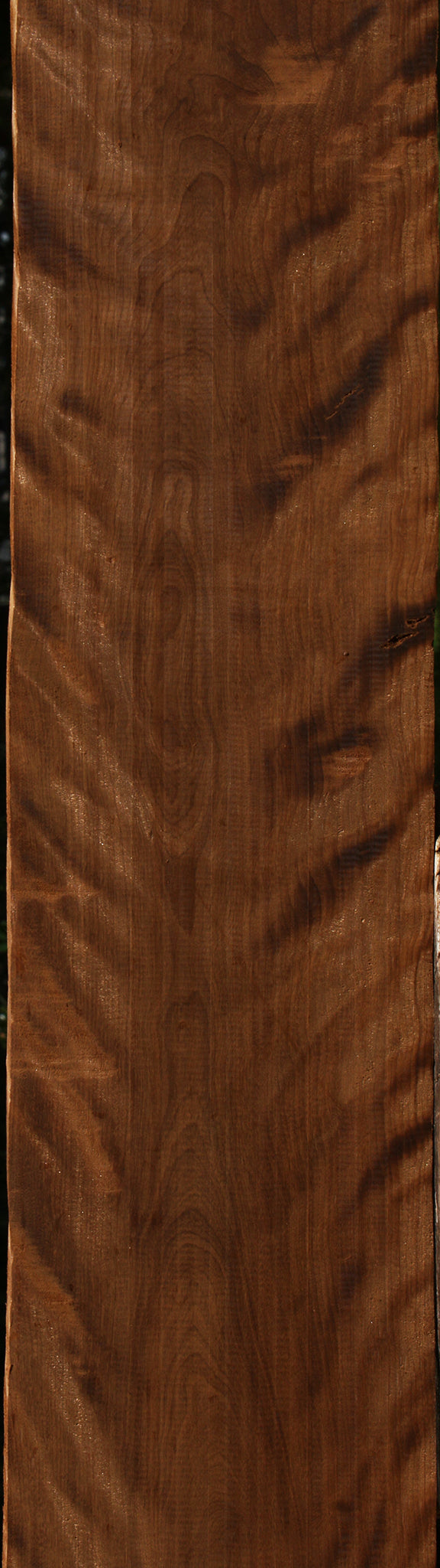 Exhibition Caramelized Birch Lumber