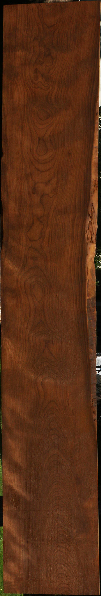 Figured Caramelized Birch Lumber