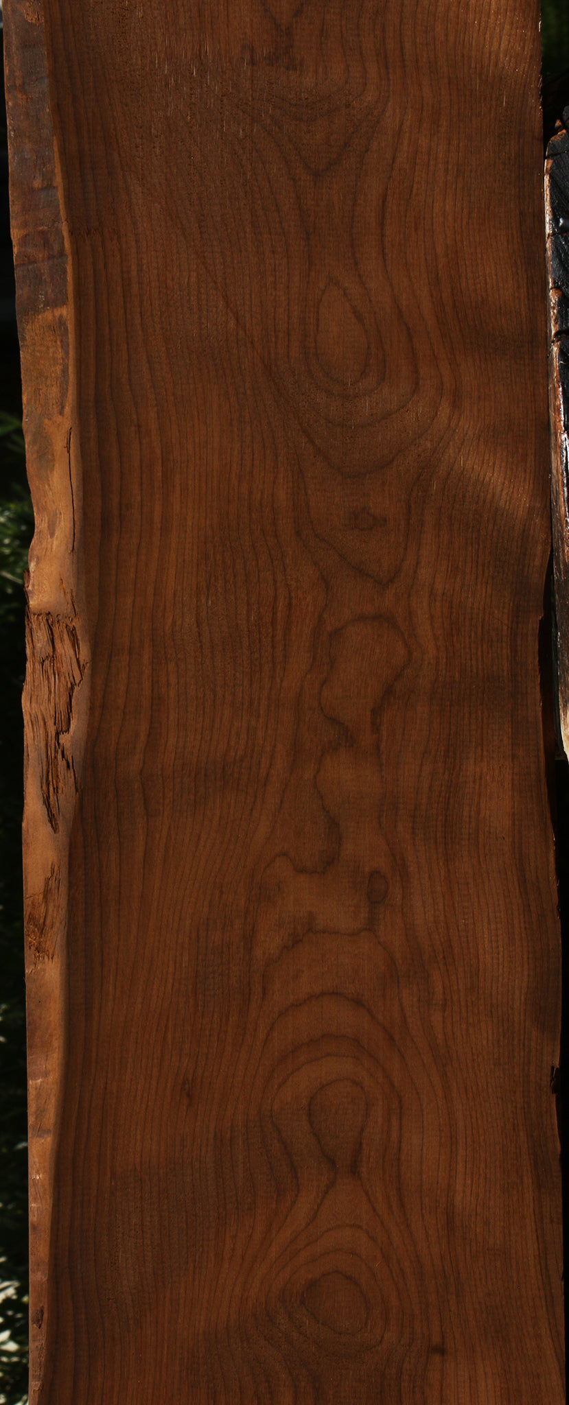 Figured Caramelized Birch Lumber