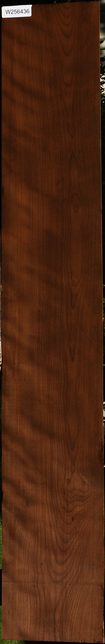 Figured Caramelized Birch Lumber