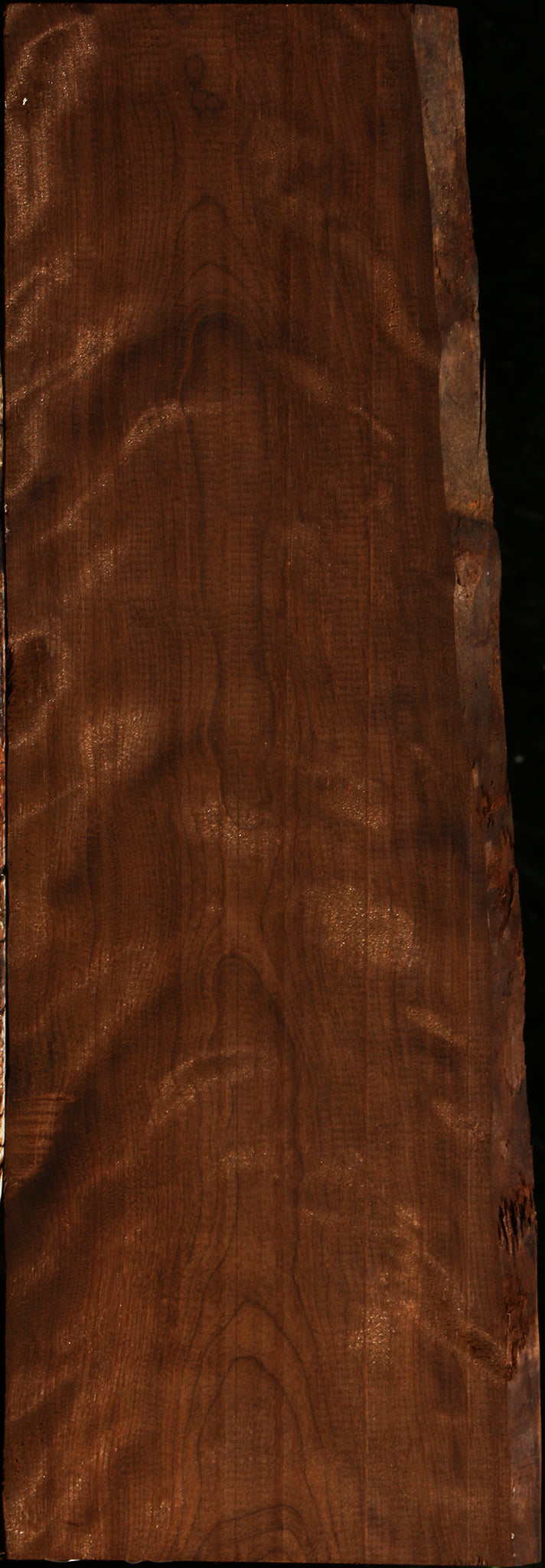 Extra Fancy Caramelized Birch Live Edge Lumber