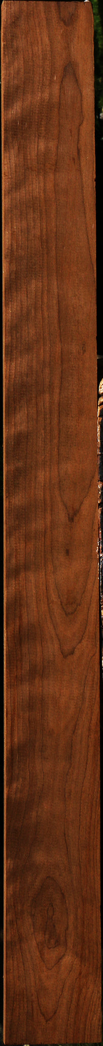 Figured Caramelized Birch Lumber