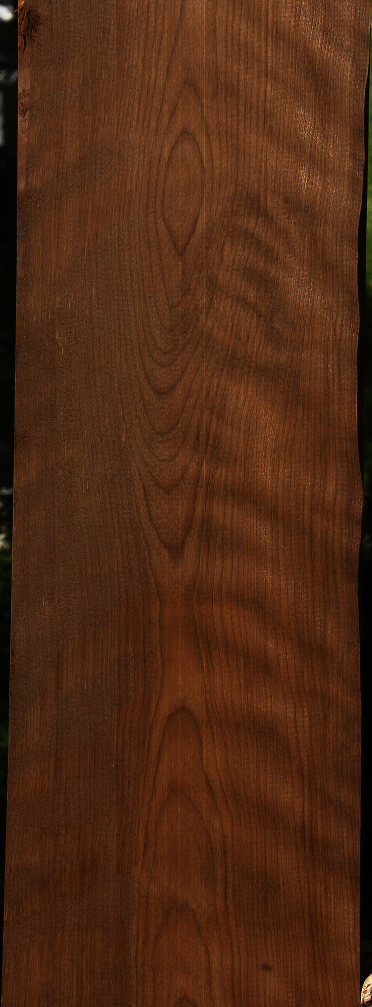 Extra Fancy Caramelized Birch Lumber