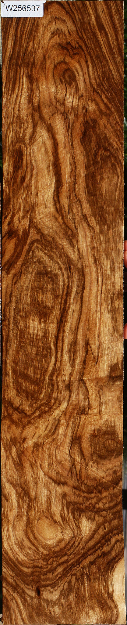 Exhibition African Beli Lumber