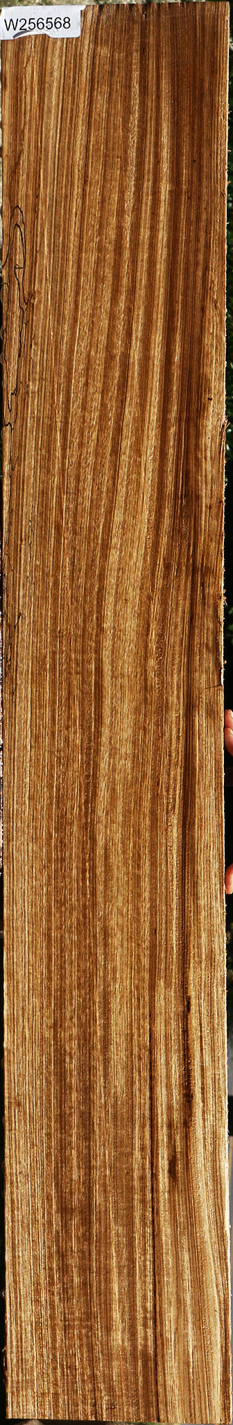 Quartersawn African Beli Lumber