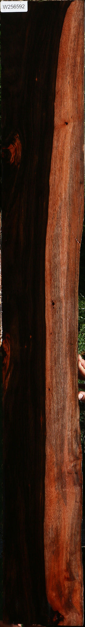 Figured Amara Ebony Live Edge Lumber