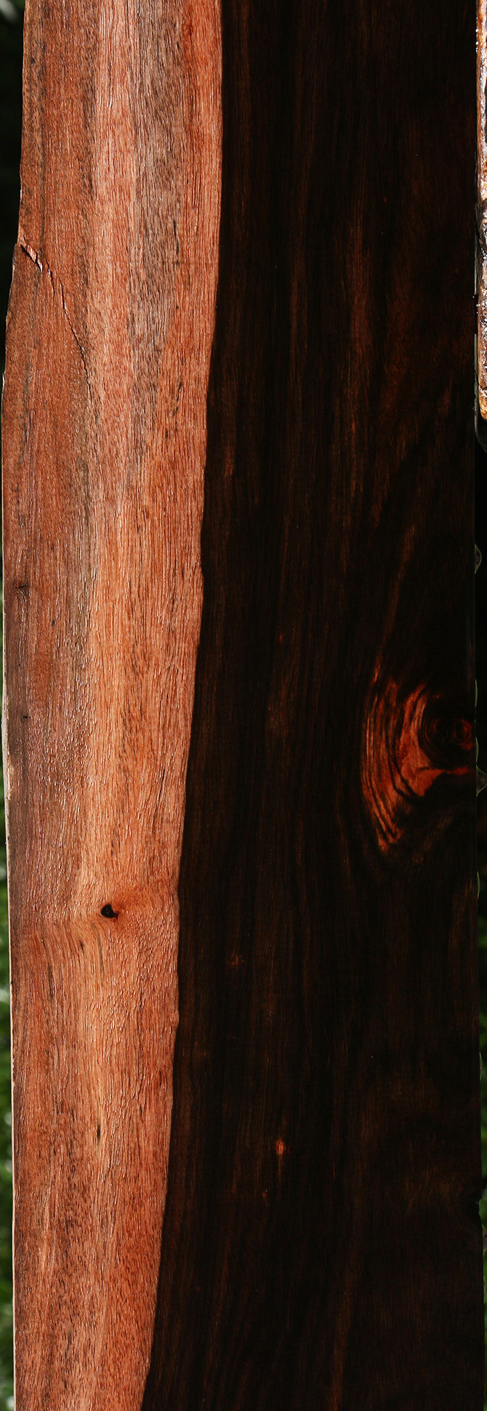 Figured Amara Ebony Live Edge Lumber