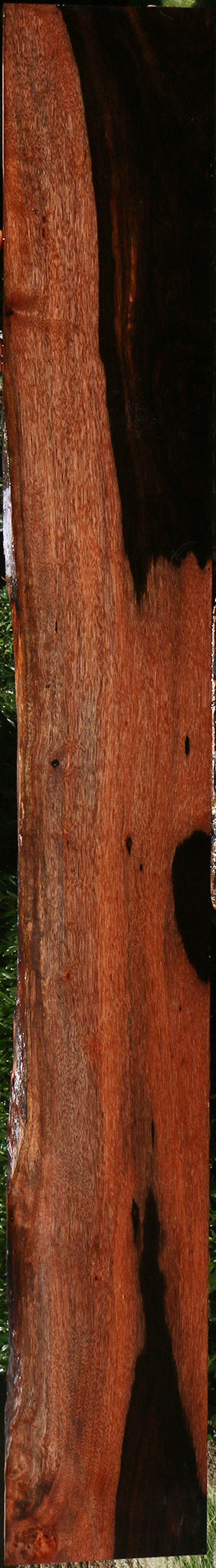 Figured Amara Ebony Live Edge Lumber