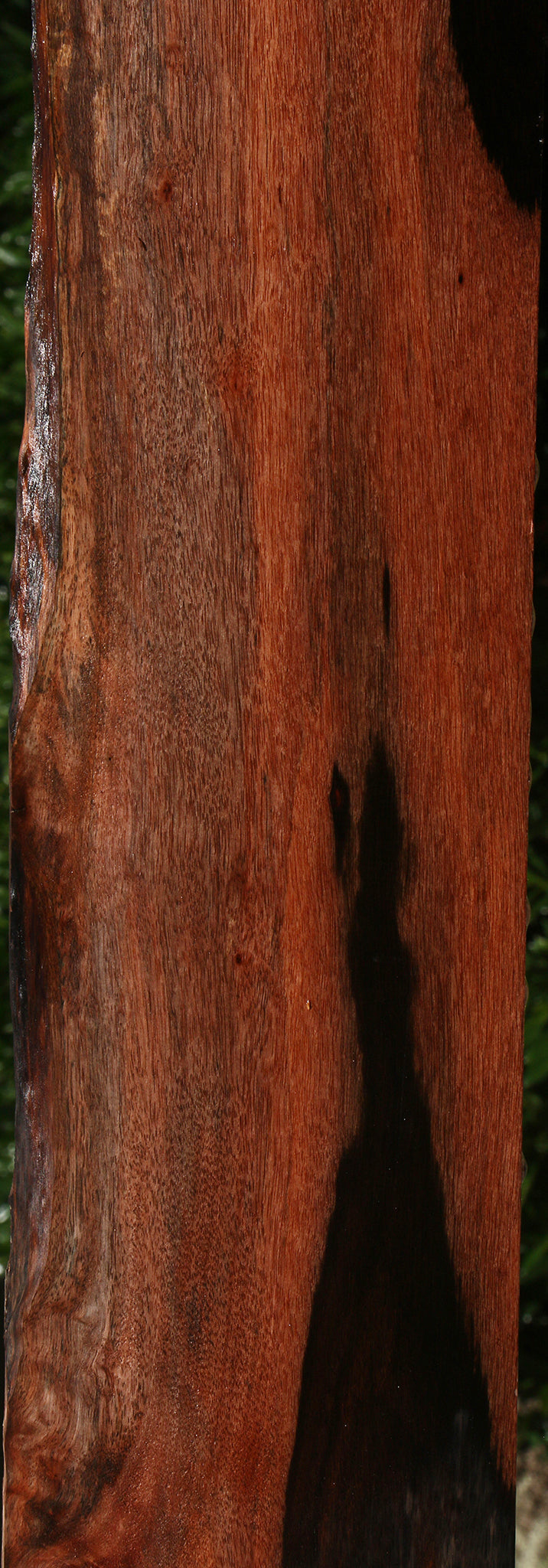 Figured Amara Ebony Live Edge Lumber
