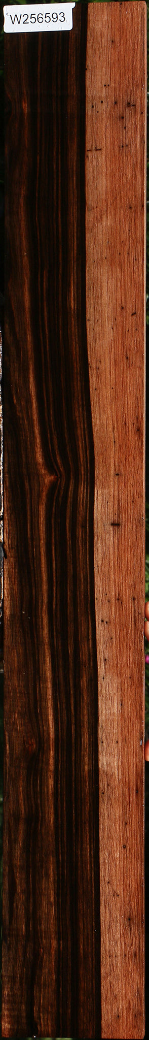 Amara Ebony Lumber