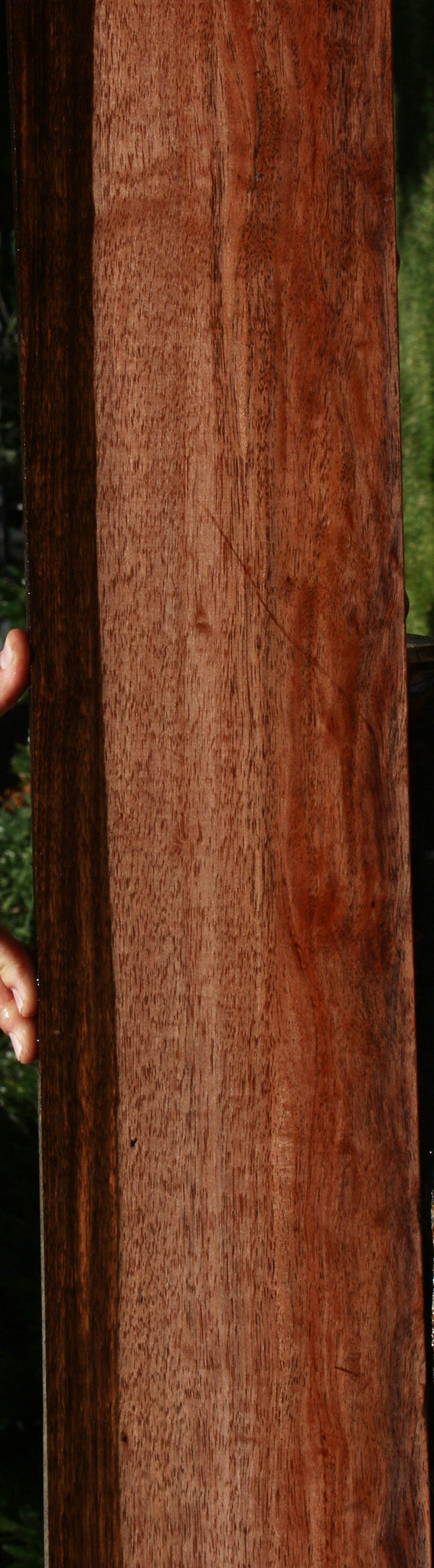 Amara Ebony Lumber