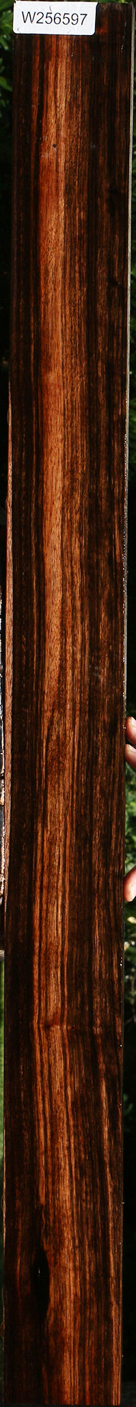 Figured Quartersawn Amara Ebony Lumber