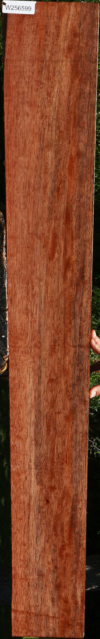 Amara Ebony Lumber
