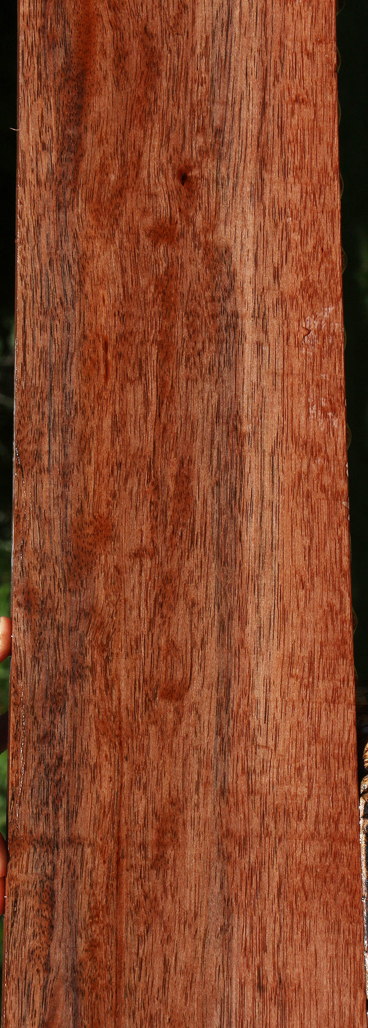 Amara Ebony Lumber