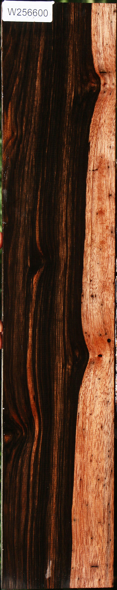 Figured Rustic Amara Ebony Lumber