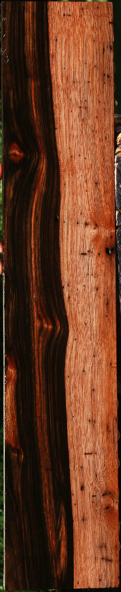 Figured Rustic Amara Ebony Lumber